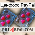 Ценфорс PayPal 14